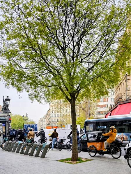Bike Lanes